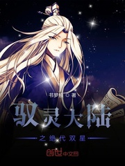 驭灵大陆之绝代双星