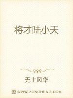 将才陆小天