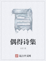 偶得诗集