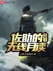 火影之佐助的无线月读