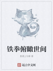 铁拳俯瞰世间