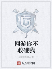 网游你不敢碰我