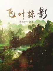 飞叶掠影