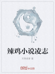 辣鸡小说凌志