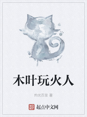 木叶玩火人