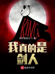 我真的是剑人