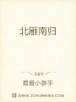 北雁南归