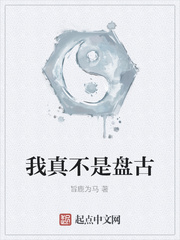 我真不是盘古