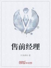 售前经理