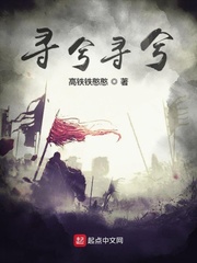 寻兮寻兮