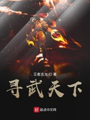 寻武天下