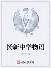 扬新中学物语