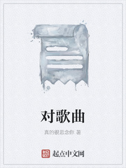对歌曲