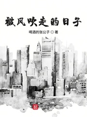 被风吹走的日子