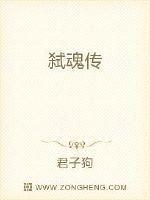 弑魂传