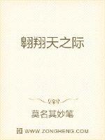 翱翔天之际