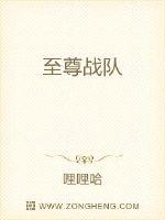 至尊战队