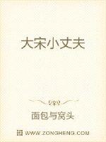 大宋小丈夫