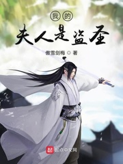我的夫人是盗圣