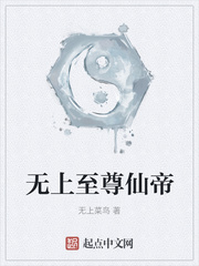 无上至尊仙帝