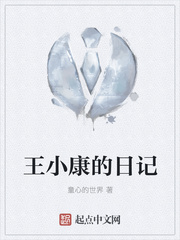 王小康的日记