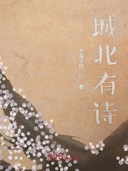 城北有诗
