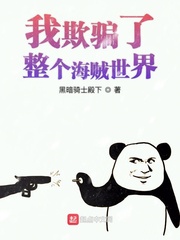 我欺骗了整个海贼世界
