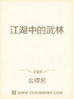 江湖中的武林
