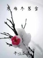 寒梅冬落雪