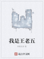 我是王老五