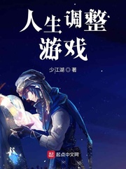 人生调整游戏