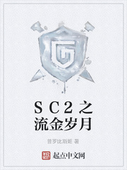 SC2之流金岁月