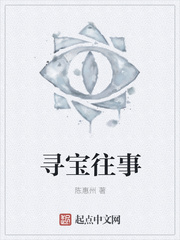 寻宝往事