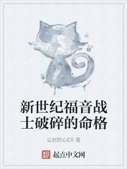 新世纪福音战士破碎的命格