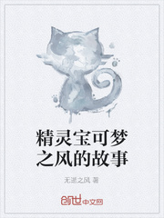精灵宝可梦之风的故事