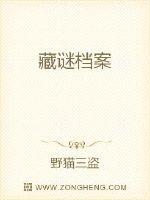 藏谜档案