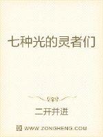 七种光的灵者们