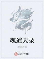 魂道天录
