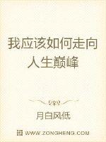 我应该如何走向人生巅峰