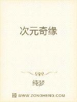 次元奇缘