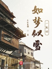 如梦似雪一轮回