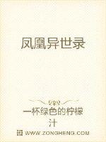 凤凰异世录
