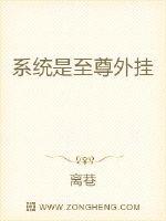 系统是至尊外挂