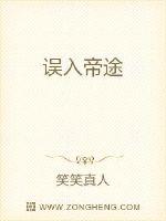 误入帝途
