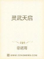 灵武天启
