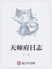 天师府日志