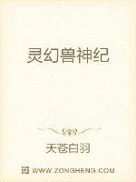 灵幻兽神纪