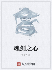 魂剑之心