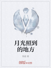 月光照到的地方