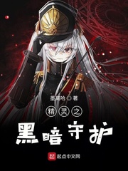 精灵之黑暗守护